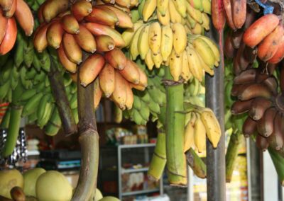 Fresh fruit hanging in bunches at local market