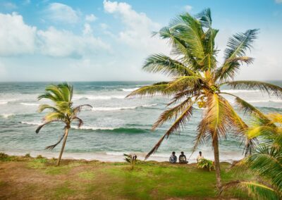 Palm trees near the ocean waves